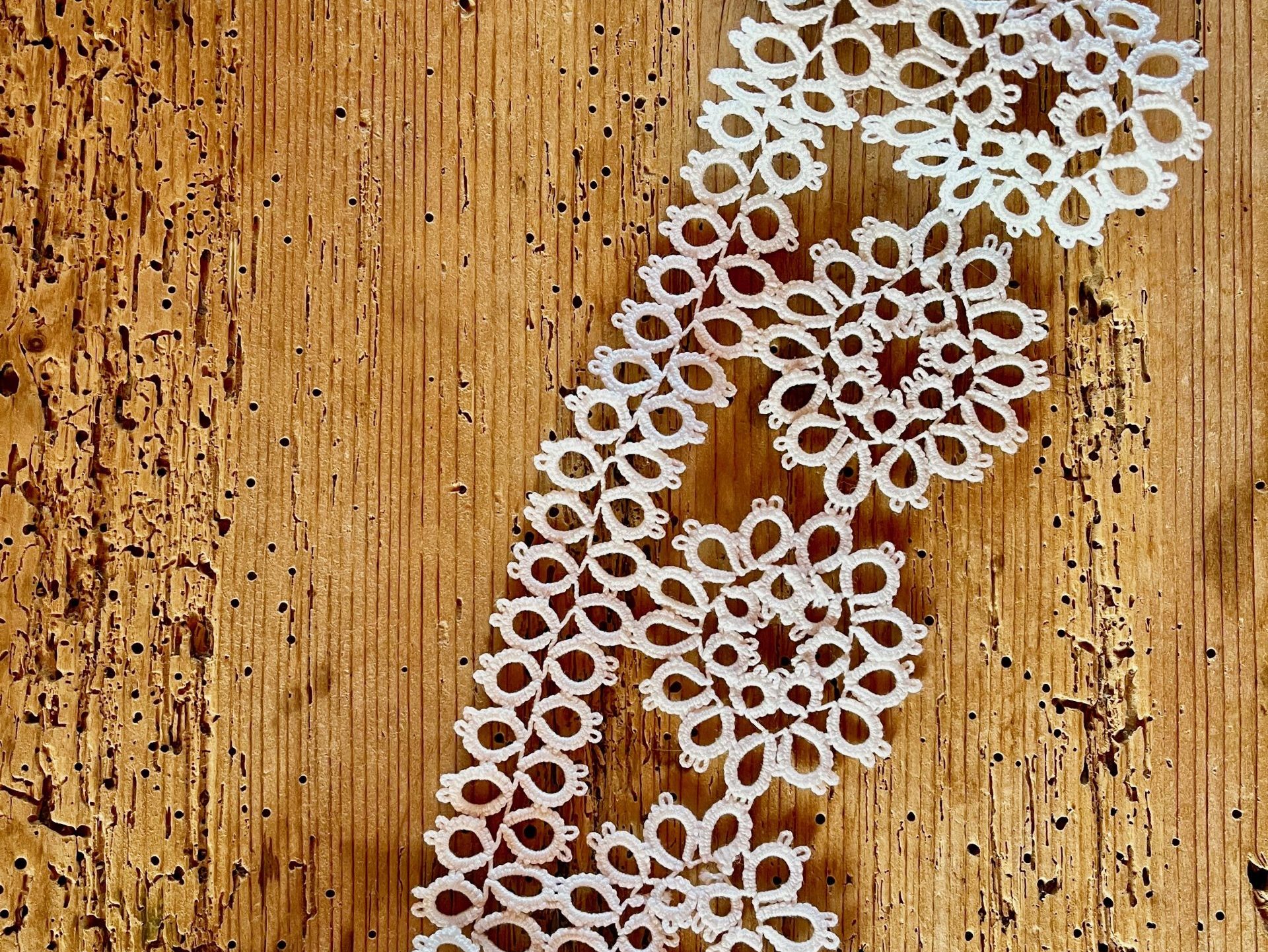 Occhikurs für AnfängerInnen